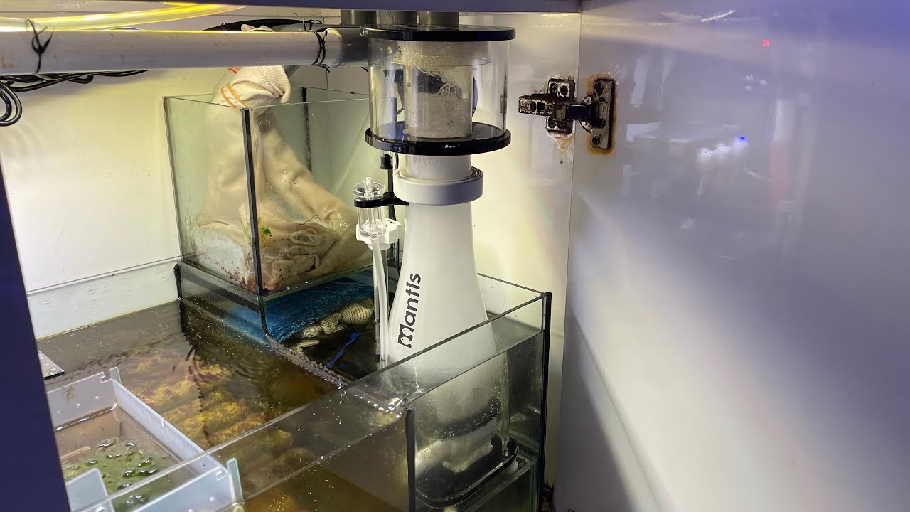 Protein Skimmer